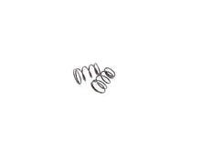 Infinity SIDE SPRING HARD (2pcs) - F110 - RCXX - RC Racing Shop | RC Models | Tuning & Spare Parts for Professionals