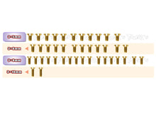 T-Works GSS-A800R-B Gold Plated Steel Screw Set (Bottom) 42pcs. for Awesomatix A800R ) - RCXX - rc racing for professionals
