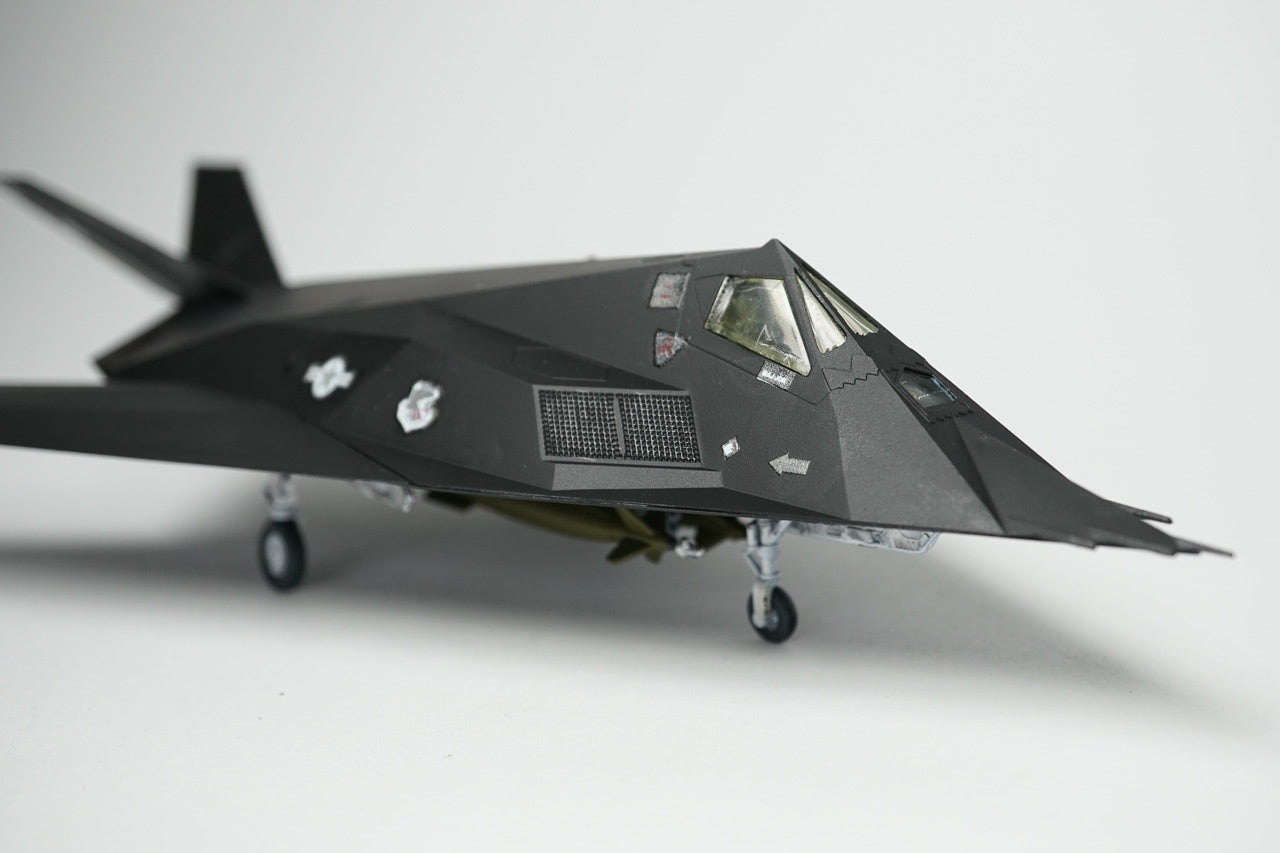 F-117 Stealth Fighter - 03899